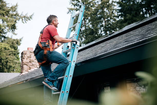 Best Roof Maintenance and Cleaning  in Britton, SD