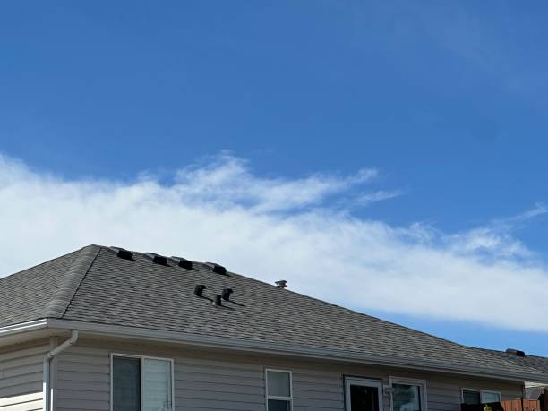 Best Roofing for New Construction  in Britton, SD